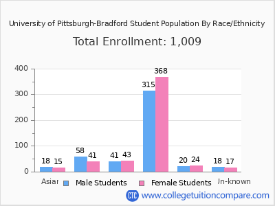 University of Pittsburgh-Bradford 2025 Student Population by Gender and Race chart