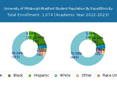 University of Pittsburgh-Bradford 2023 Student Population by Gender and Race chart