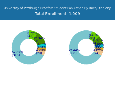 University of Pittsburgh-Bradford 2025 Student Population by Gender and Race chart