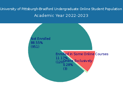 University of Pittsburgh-Bradford 2023 Online Student Population chart