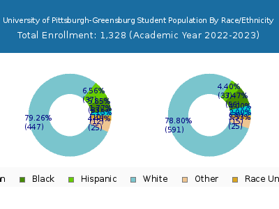 University of Pittsburgh-Greensburg 2023 Student Population by Gender and Race chart