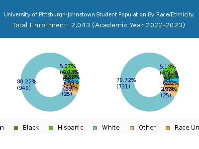 University of Pittsburgh-Johnstown 2023 Student Population by Gender and Race chart
