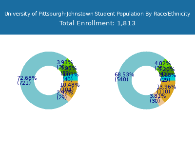 University of Pittsburgh-Johnstown 2025 Student Population by Gender and Race chart