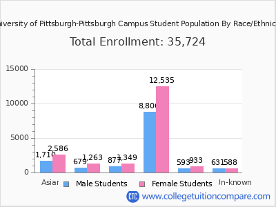 University of Pittsburgh-Pittsburgh Campus 2025 Student Population by Gender and Race chart