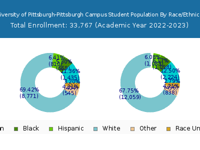 University of Pittsburgh-Pittsburgh Campus 2023 Student Population by Gender and Race chart