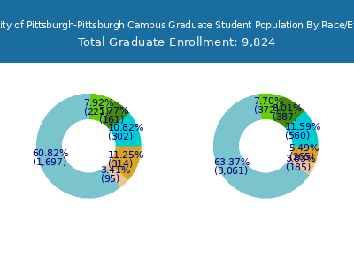 University of Pittsburgh-Pittsburgh Campus 2025 Graduate Enrollment by Gender and Race chart