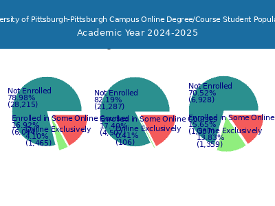 University of Pittsburgh-Pittsburgh Campus 2025 Online Student Population chart