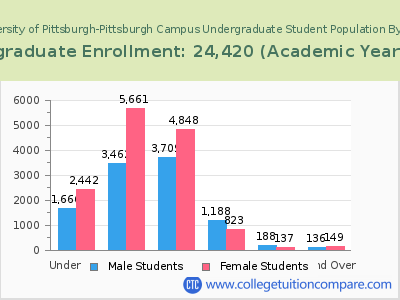 University of Pittsburgh-Pittsburgh Campus 2023 Undergraduate Enrollment by Age chart