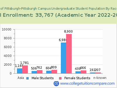 University of Pittsburgh-Pittsburgh Campus 2023 Undergraduate Enrollment by Gender and Race chart