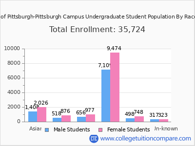 University of Pittsburgh-Pittsburgh Campus 2025 Undergraduate Enrollment by Gender and Race chart