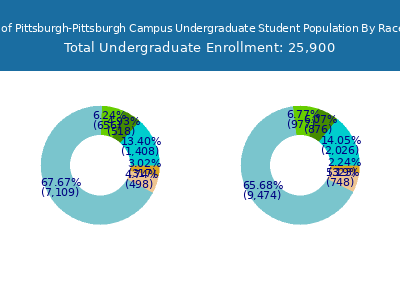 University of Pittsburgh-Pittsburgh Campus 2025 Undergraduate Enrollment by Gender and Race chart