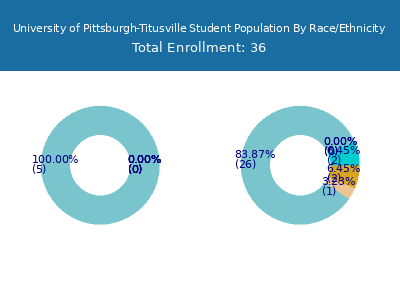 University of Pittsburgh-Titusville 2025 Student Population by Gender and Race chart