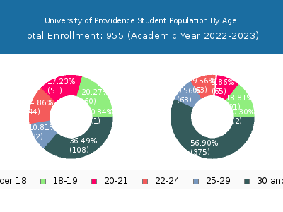University of Providence 2023 Student Population Age Diversity Pie chart