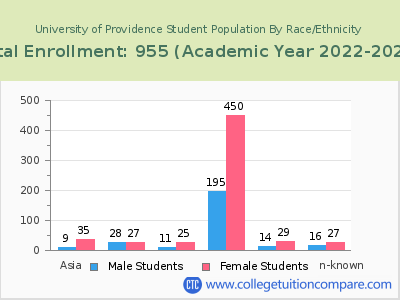 University of Providence 2023 Student Population by Gender and Race chart