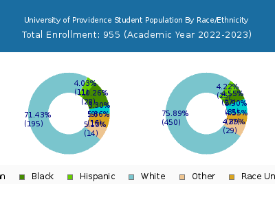 University of Providence 2023 Student Population by Gender and Race chart