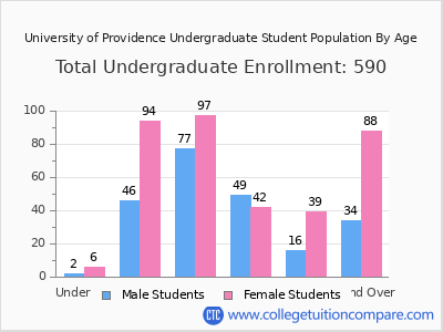 University of Providence 2025 Undergraduate Enrollment by Age chart