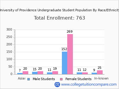 University of Providence 2025 Undergraduate Enrollment by Gender and Race chart