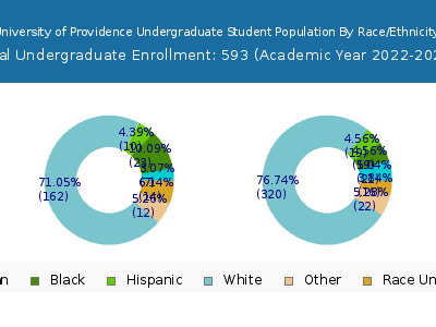 University of Providence 2023 Undergraduate Enrollment by Gender and Race chart