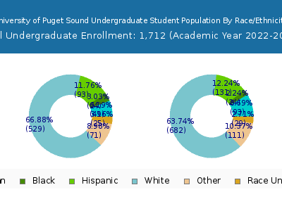 University of Puget Sound 2023 Undergraduate Enrollment by Gender and Race chart