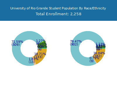 University of Rio Grande 2025 Student Population by Gender and Race chart