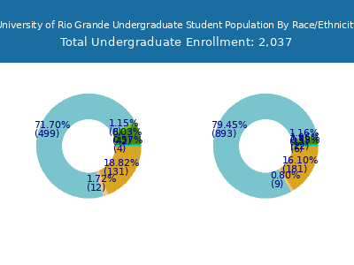 University of Rio Grande 2025 Undergraduate Enrollment by Gender and Race chart