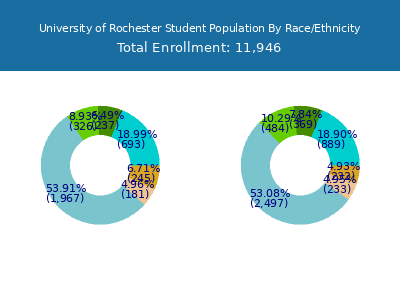 University of Rochester 2025 Student Population by Gender and Race chart