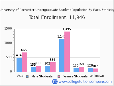 University of Rochester 2025 Undergraduate Enrollment by Gender and Race chart