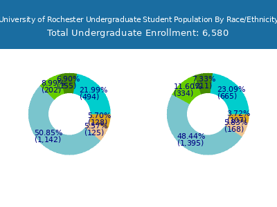University of Rochester 2025 Undergraduate Enrollment by Gender and Race chart