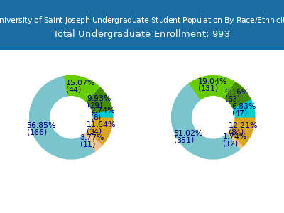 University of Saint Joseph 2025 Undergraduate Enrollment by Gender and Race chart