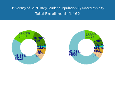 University of Saint Mary 2025 Student Population by Gender and Race chart
