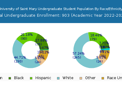 University of Saint Mary 2023 Undergraduate Enrollment by Gender and Race chart