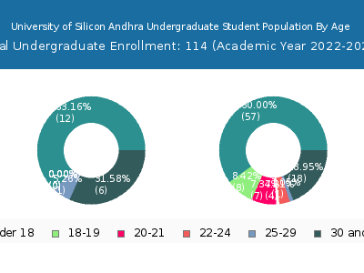 University of Silicon Andhra 2023 Undergraduate Enrollment Age Diversity Pie chart