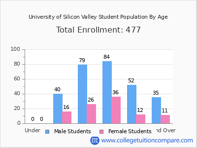 University of Silicon Valley 2024 Student Population by Age chart