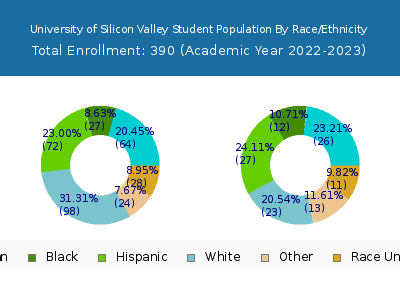 University of Silicon Valley 2023 Student Population by Gender and Race chart