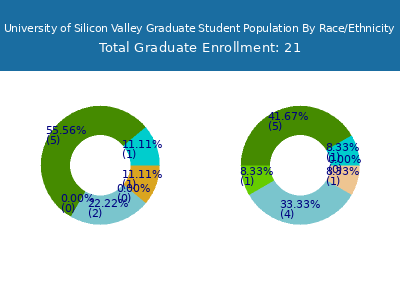 University of Silicon Valley 2025 Graduate Enrollment by Gender and Race chart