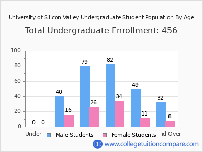 University of Silicon Valley 2024 Undergraduate Enrollment by Age chart