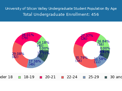 University of Silicon Valley 2024 Undergraduate Enrollment Age Diversity Pie chart