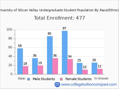 University of Silicon Valley 2025 Undergraduate Enrollment by Gender and Race chart