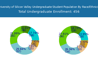 University of Silicon Valley 2025 Undergraduate Enrollment by Gender and Race chart