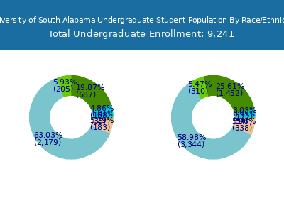 University of South Alabama 2025 Undergraduate Enrollment by Gender and Race chart