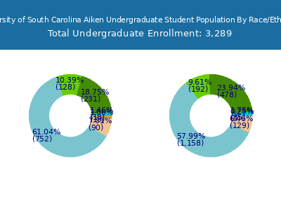 University of South Carolina Aiken 2025 Undergraduate Enrollment by Gender and Race chart