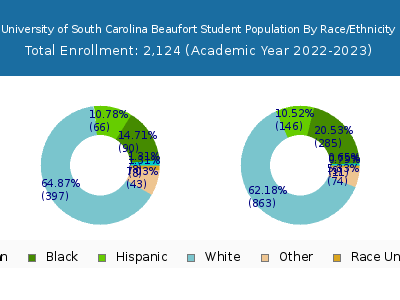 University of South Carolina Beaufort 2023 Student Population by Gender and Race chart