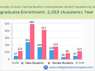 University of South Carolina Beaufort 2023 Undergraduate Enrollment by Age chart