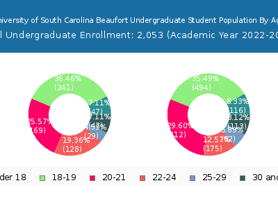 University of South Carolina Beaufort 2023 Undergraduate Enrollment Age Diversity Pie chart