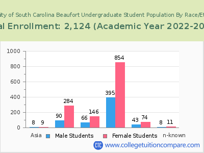 University of South Carolina Beaufort 2023 Undergraduate Enrollment by Gender and Race chart