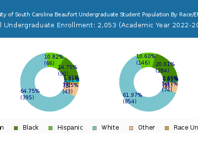 University of South Carolina Beaufort 2023 Undergraduate Enrollment by Gender and Race chart