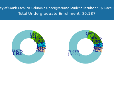 University of South Carolina-Columbia 2025 Undergraduate Enrollment by Gender and Race chart