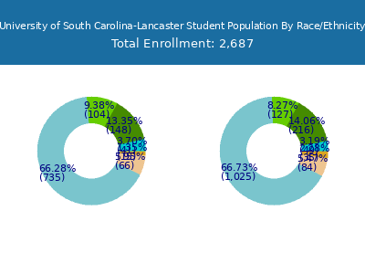 University of South Carolina-Lancaster 2025 Student Population by Gender and Race chart