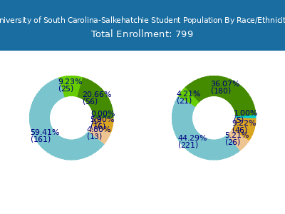 University of South Carolina-Salkehatchie 2025 Student Population by Gender and Race chart