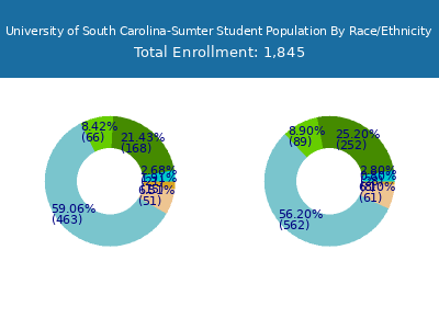 University of South Carolina-Sumter 2025 Student Population by Gender and Race chart
